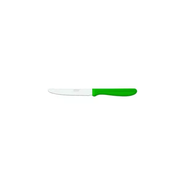 PARING|STEAK KNIFE GREEN HANDLE-110mm | SERRATED