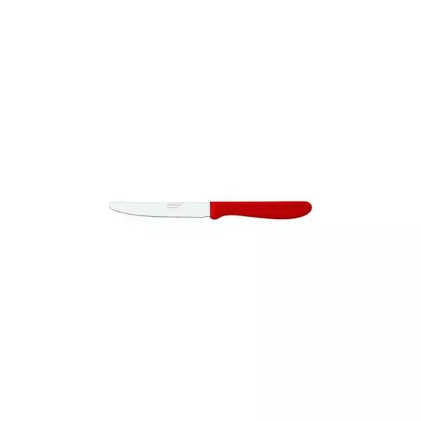 PARING|STEAK KNIFE RED HANDLE-110mm | SERRATED