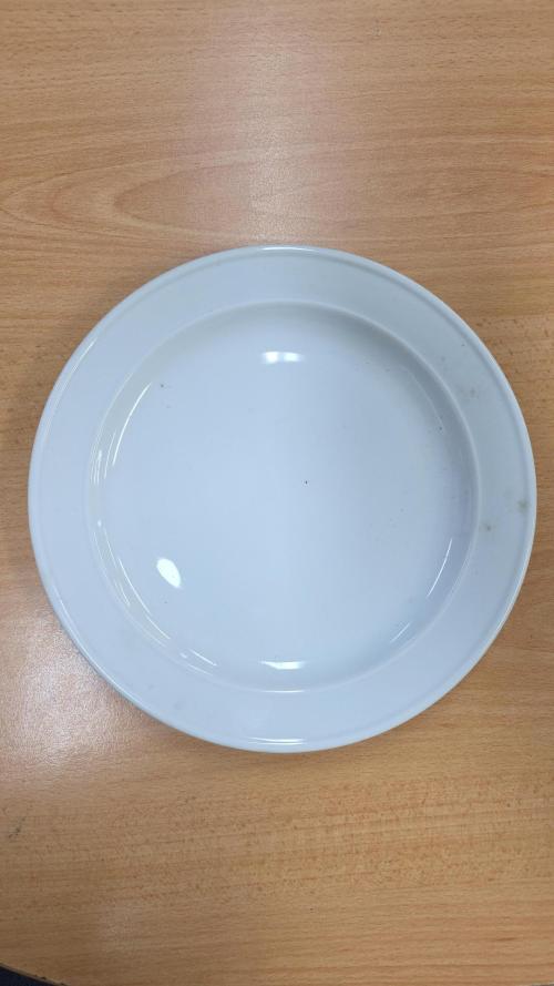 Trenton Plate CLEARANCE