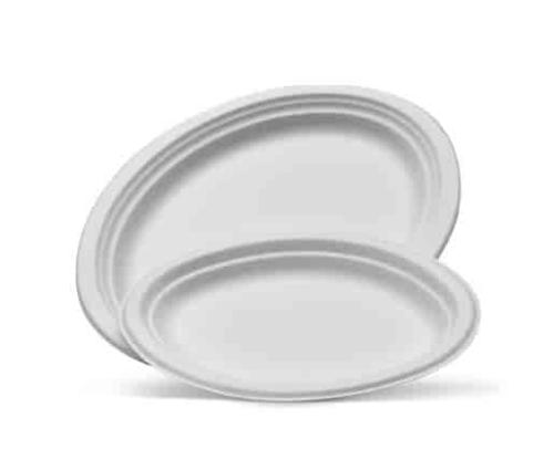 Large Oval Plate Sleeve of 50 Size 251x318